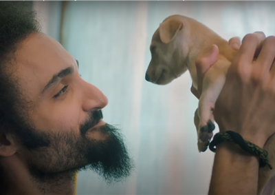 Pedigree and Zee5 raise awareness on indie pet adoptions